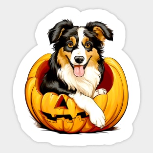 Australian Shepherd Dog inside Pumpkin #1 Sticker